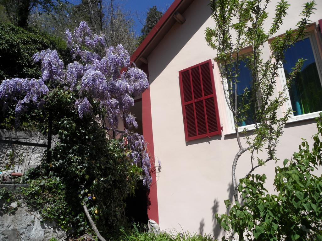 Chambres D'Hotes Casa Sylvana Saint-Dalmas-de-Tende Экстерьер фото